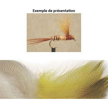 Flanco De Pato Tof