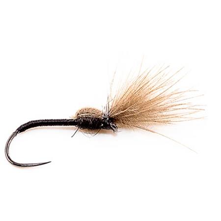 Fliege Devaux Emergente Hl24 - 3Er Pack