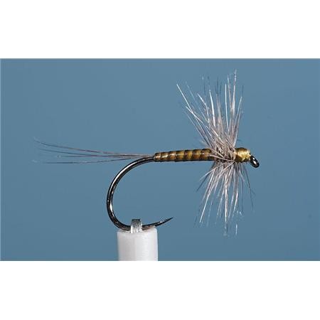 Fliege Jmc Ephemere Eli 11 Bl