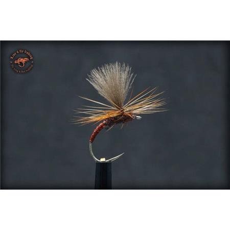 Fliege Live For Fly Emergente D98 - 3Er Pack