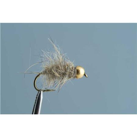 Fliege Tof Nymphe Gekappte Hasenohren