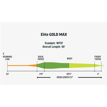 FLIEGENSCHNUR RIO ELITE GOLD MAX