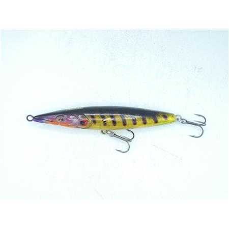 Floating Lure Xorus Asturie 150 - Color 06