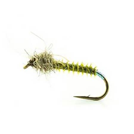 Flue Devaux Chiro Jbc07 - Pakke Med 3