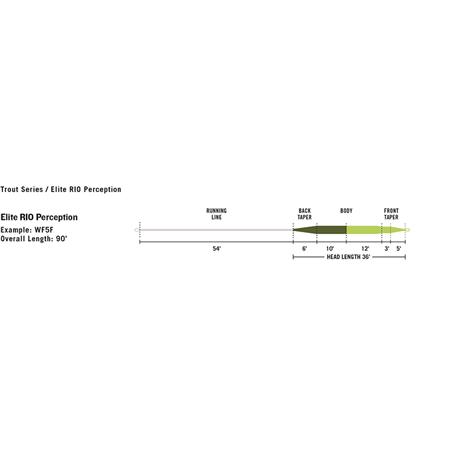 FLUGESNØRE RIO ELITE PERCEPTION