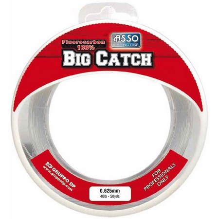 Fluorokarbon Asso Big Catch