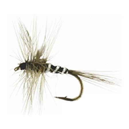 Fly Autain Spider - Pack Of 12