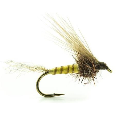 Fly Devaux Emergente Jbe01 - Pack Of 3