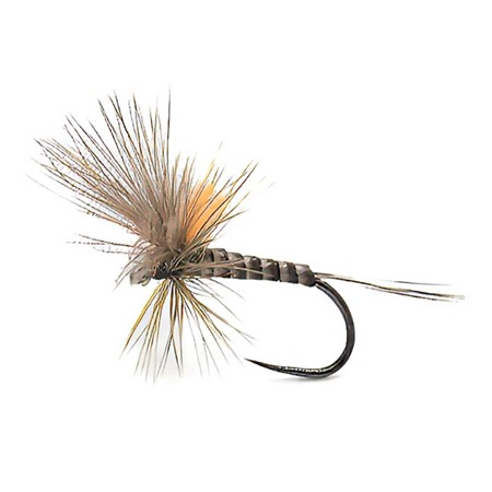 Fly Devaux Emergente Jbe80 - Pack Of 3