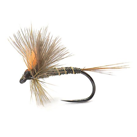 Fly Devaux Emergente Jbe84 - Pack Of 3