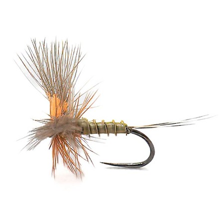 Fly Devaux Emergente Jbe85 - Pack Of 3