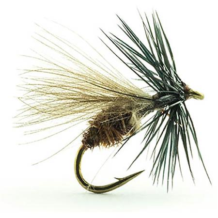 Fly Devaux Terrestre Jbf 02 Bl - Pack Of 3