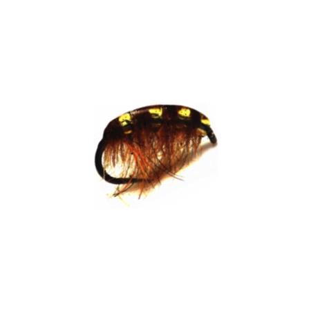 Fly Gourmet Flies Crystal Gammarus Green Insect