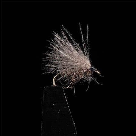 Fly Jmc Emergentes Jmc 8