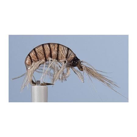 Fly Jmc Nymph Jcc 120