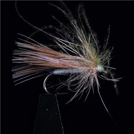 Fly Jmc Sedges Bracchy
