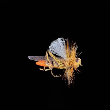 Fly Jmc Terrestres Sauterelle 29