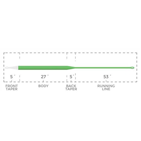 FLY LINE CORTLAND GHOST TIP