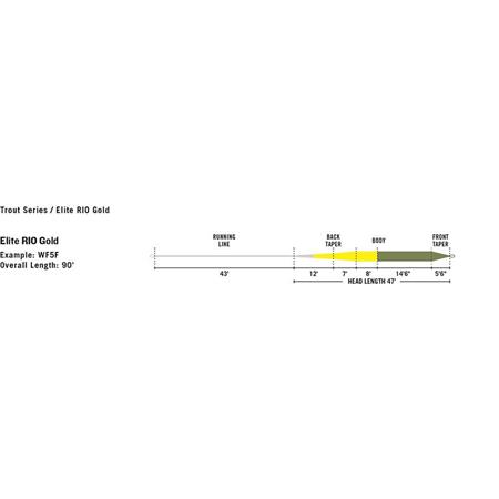 FLY LINE RIO ELITE GOLD