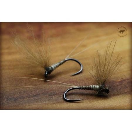 Fly Live For Fly Emergente D1 - Pack Of 3