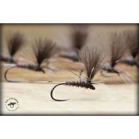 Fly Live For Fly Emergente D12 - Pack Of 3