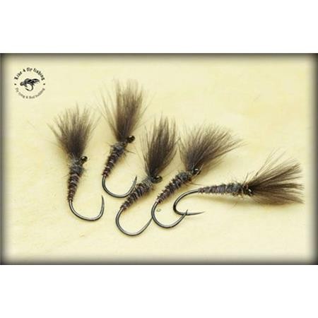 Fly Live For Fly Emergente D14 - Pack Of 3