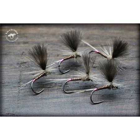 Fly Live For Fly Emergente D24 - Pack Of 3