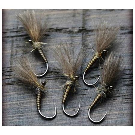 Fly Live For Fly Emergente D29 - Pack Of 3