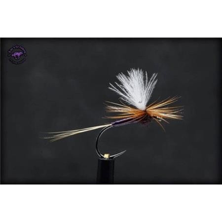 Fly Live For Fly Emergente D3 - Pack Of 3