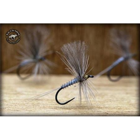 Fly Live For Fly Emergente D36 - Pack Of 3