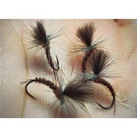 Fly Live For Fly Emergente D56 - Pack Of 3
