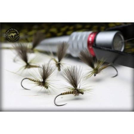 Fly Live For Fly Emergente D59 - Pack Of 3