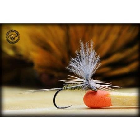 Fly Live For Fly Emergente D6 - Pack Of 3