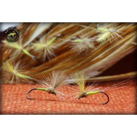 Fly Live For Fly Emergente D66 - Pack Of 3