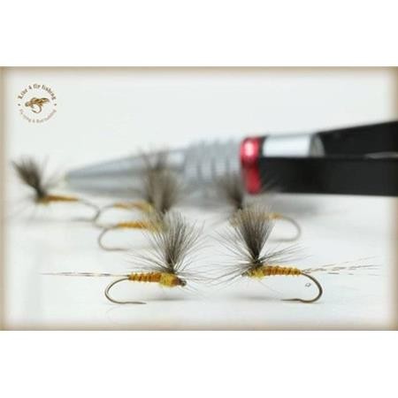 Fly Live For Fly Emergente D68 - Pack Of 3