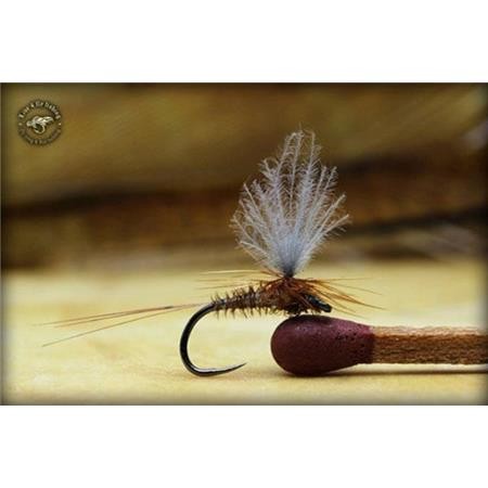 Fly Live For Fly Emergente D7 - Pack Of 3