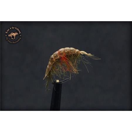 Fly Live For Fly Gammare N85 - Pack Of 3