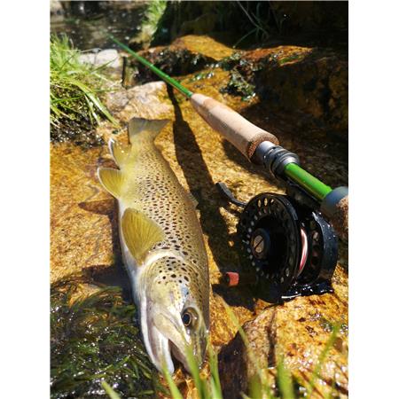 FLY ROD JMC PASSION G2