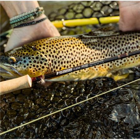 FLY ROD SAGE R8 CLASSIC