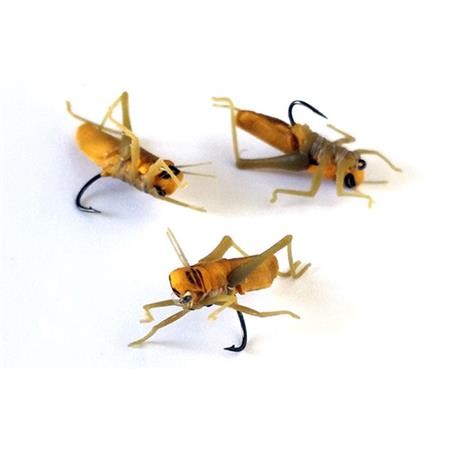 Fly Sempe Nymph Sauterelle Brune - Pack Of 3