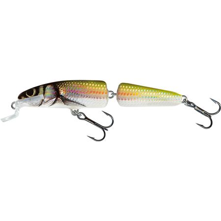 Flydende Agn Salmo Fanatic - 7Cm
