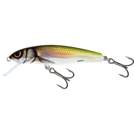 Flydende Kunstagn Salmo Minnow - 6Cm