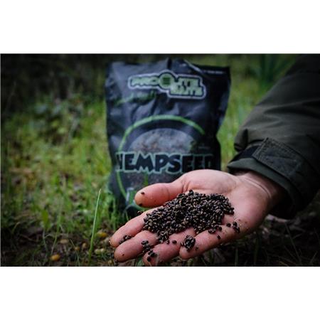FORBEREDT FRØ PRO ELITE BAITS COOKED PARTICLES HEMPSEED