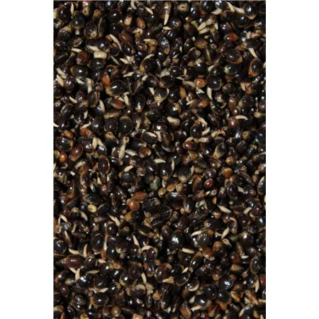 FORBEREDT FRØ PRO ELITE BAITS COOKED PARTICLES HEMPSEED