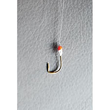 Forfang Asari Micro Organic