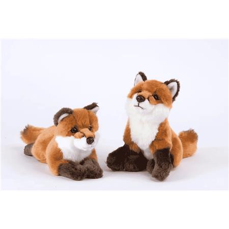 Fox Pair Nature De Brenne