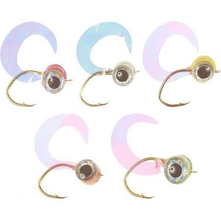 Gambe Barsch Be10 - 5 Nymphen Vertigone Perche Be10 - 5 Nymphes