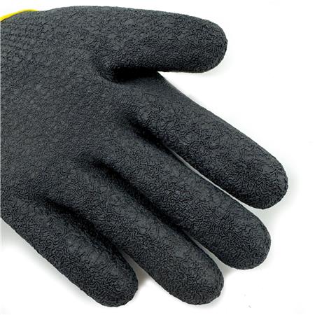 GANTS FISHXPLORER BROCATOR