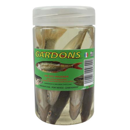 Gardones Armorvif