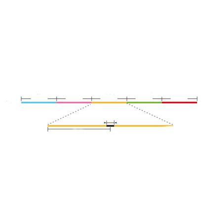 GEFLOCHTENE ANGELSCHNUR SUNLINE FUN BOAT